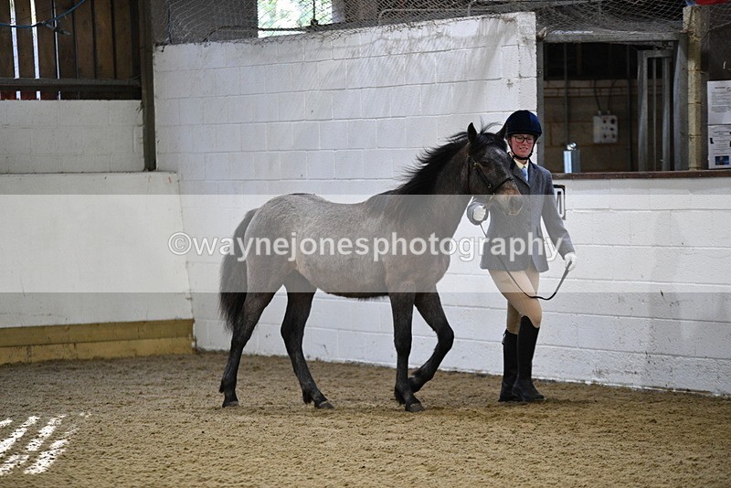 WJ5_3368 - Class 1 Youngstock