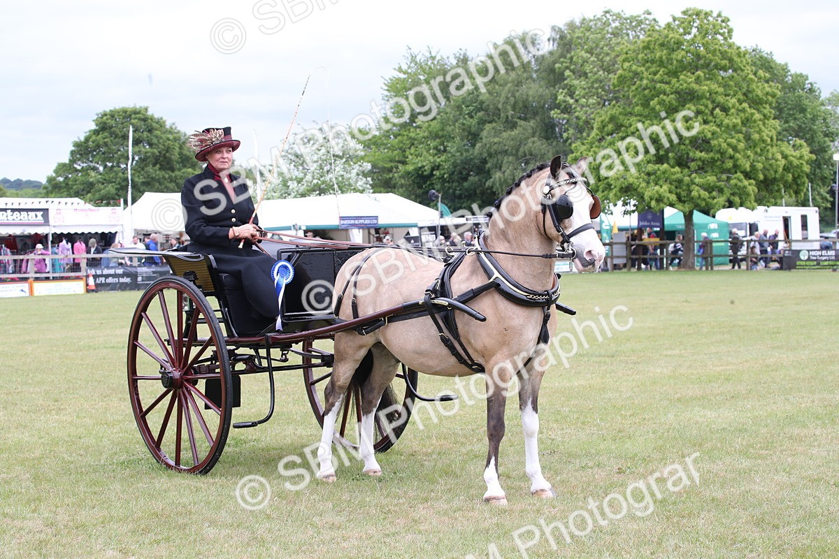 SBM_05924 - Class 12-15 - HOYS Private Driving