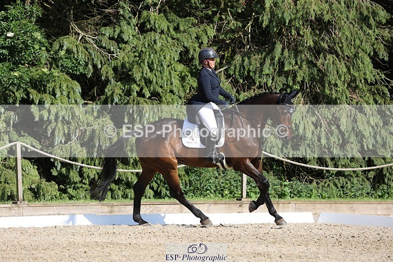 230526-172706-07977 - 178-RIDIRE_DORCHA-Lucy_Stimson-WEDTrotUp+DR