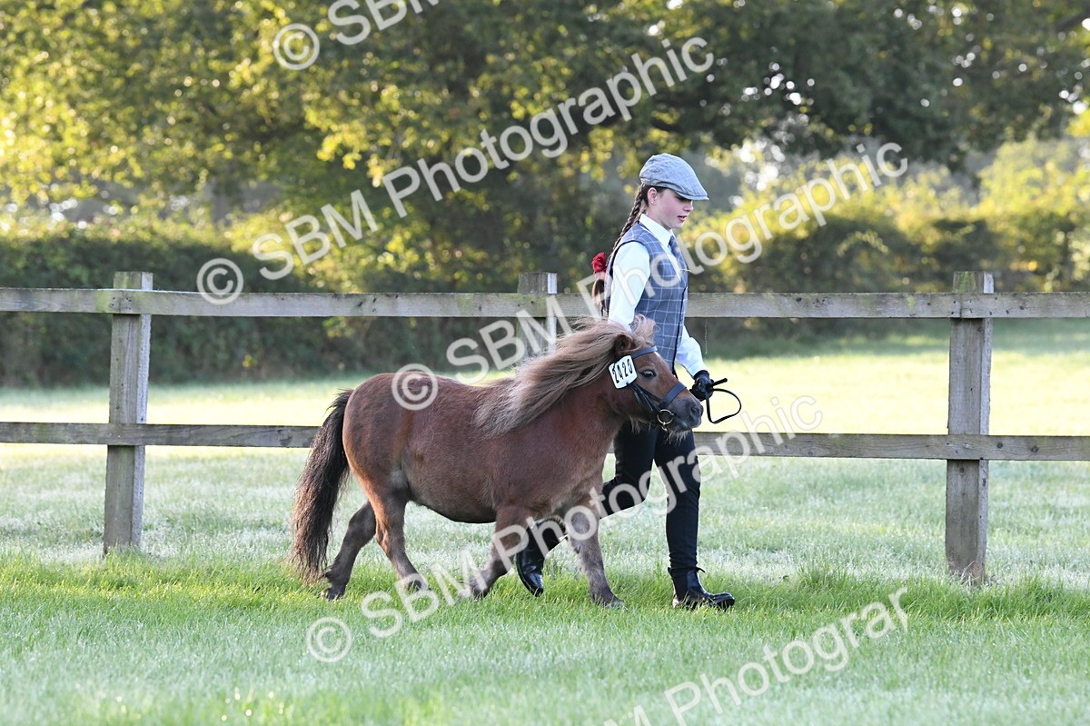 SBM_32546 - S15 - Condition & Turnout In Hand