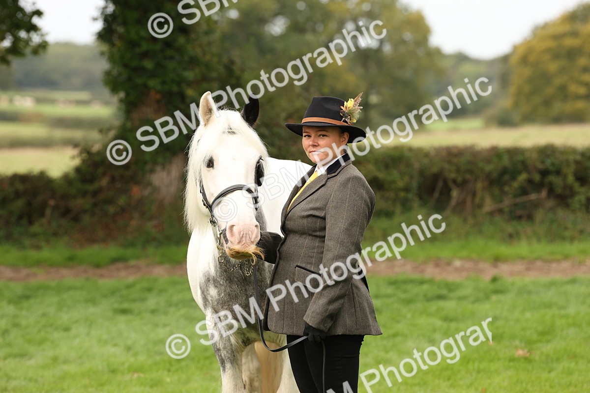 SBM_59343 - S57 - Traditional Cob In Hand