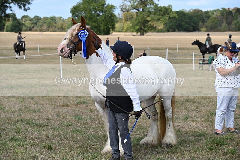 WJ6_6717 - Class 20 In-hand Cob