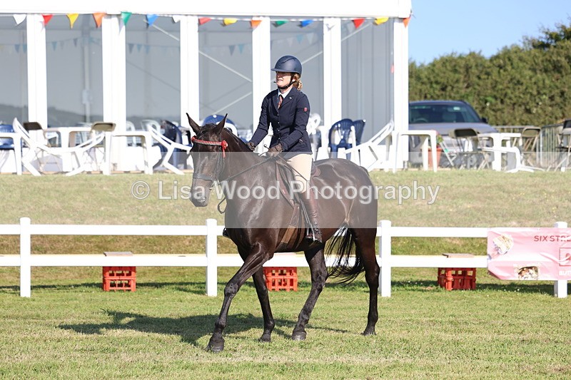 3E7A5594 - Class 2: Rising Star Large Hack/Riding Horse