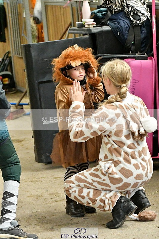 230804A-100112-01545 - Stable Shots