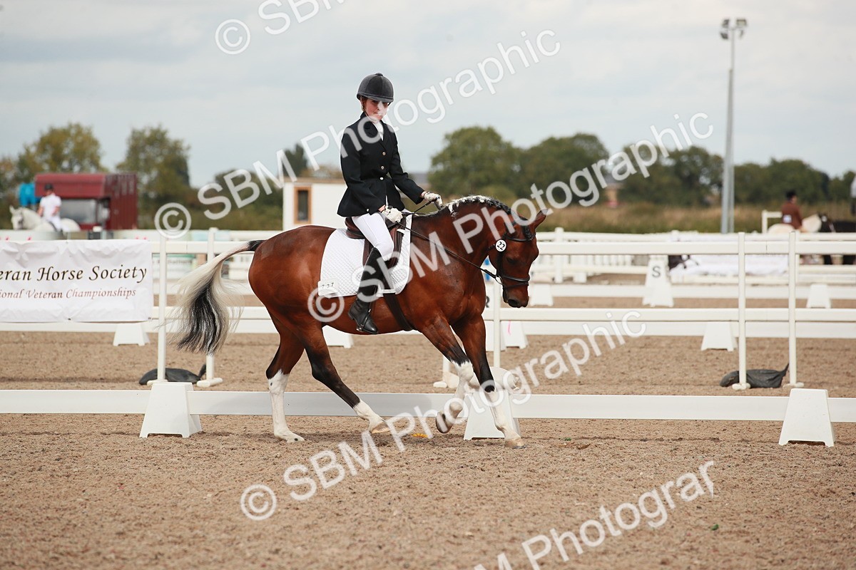 SBM_05921 - Class 32 - Novice 1