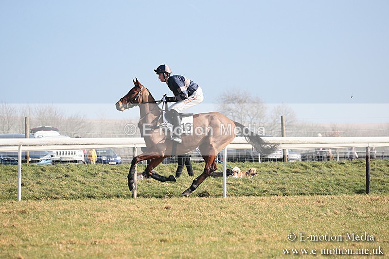 PtP 230219 28 - Vine & Craven Point-To-Point - Barbury 23/02/19