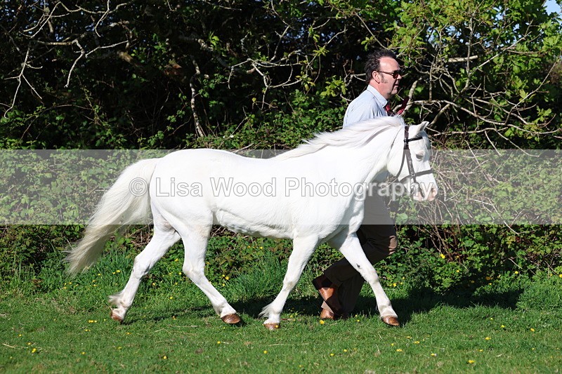 3E7A8360 - Class 12: M & M Small Breeds