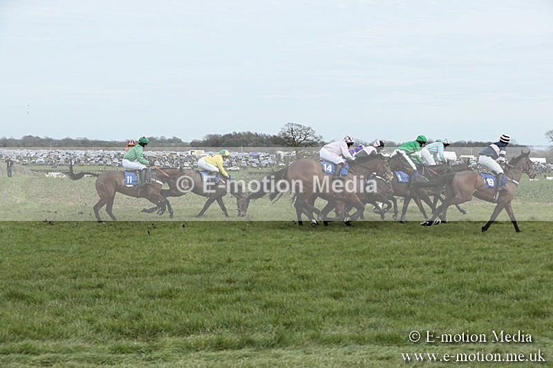 PtP 230319 165 - VWH Hunt Siddington Point-to-Point Racing 23/03/19