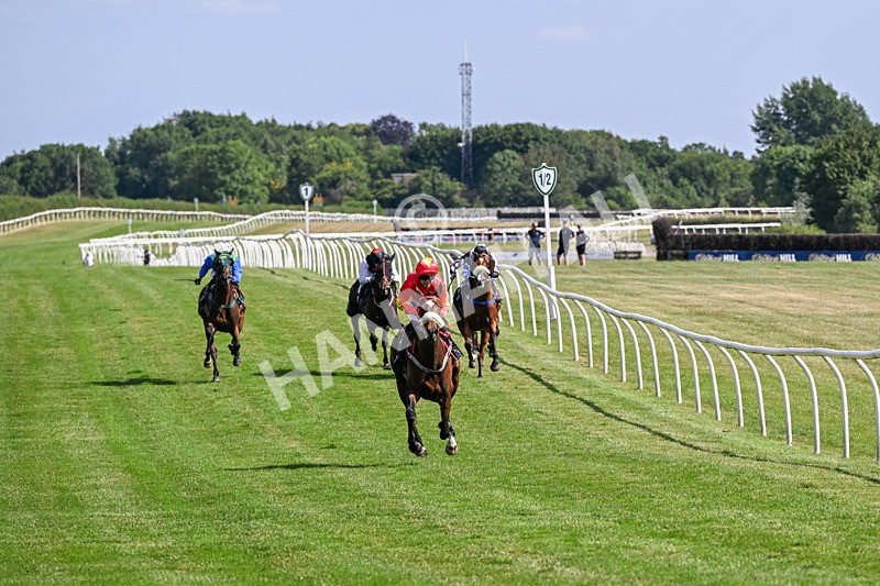 080726-Race 5-Sugarpiehoneybunch-7524 - Race 5 16.00pm Bet At racingtv.com Handicap