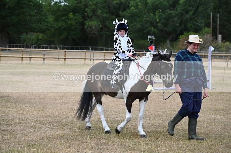 WJ6_8635 - Class 11 Fancy Dress