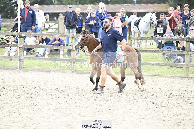 240822X-133606-08290 - 40cm LR R2 13.00 to 15.00