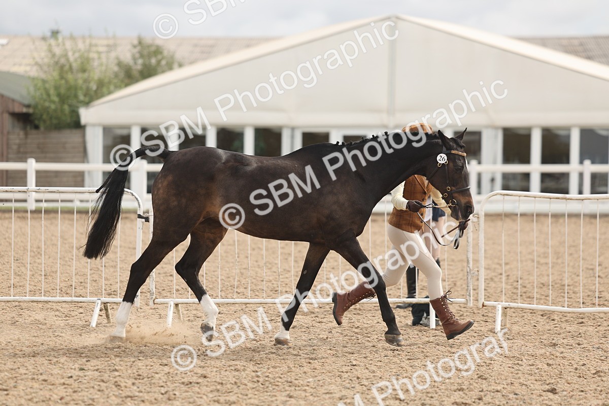 SBM_04983 - Class 20 - IH Veteran