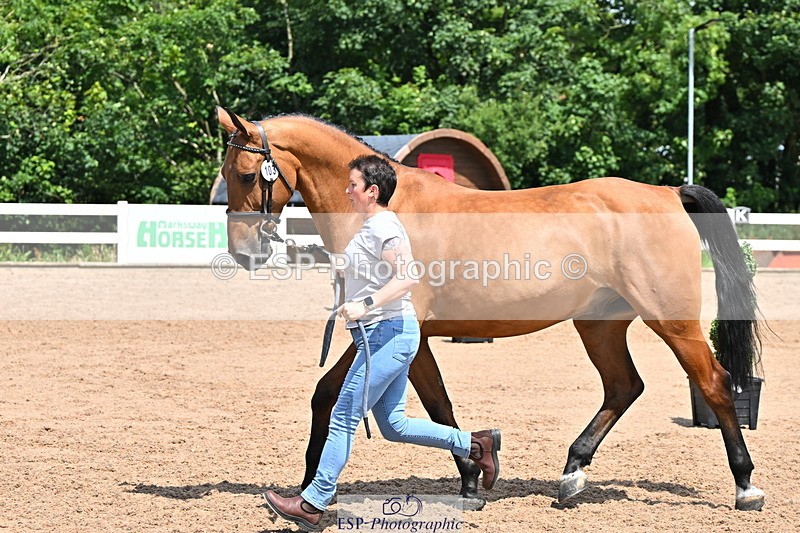 240718A-105300-01430 - Trot Up 12pm to 1pm