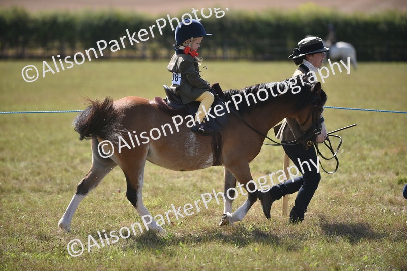20260906-1769 - Class 11 - 13hh and Under