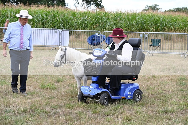 WJ6_6021 - Class 19 In-hand Veterans (Uploaded correct folder)