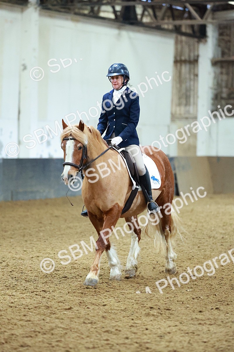 SBM_003666 - Novice 2