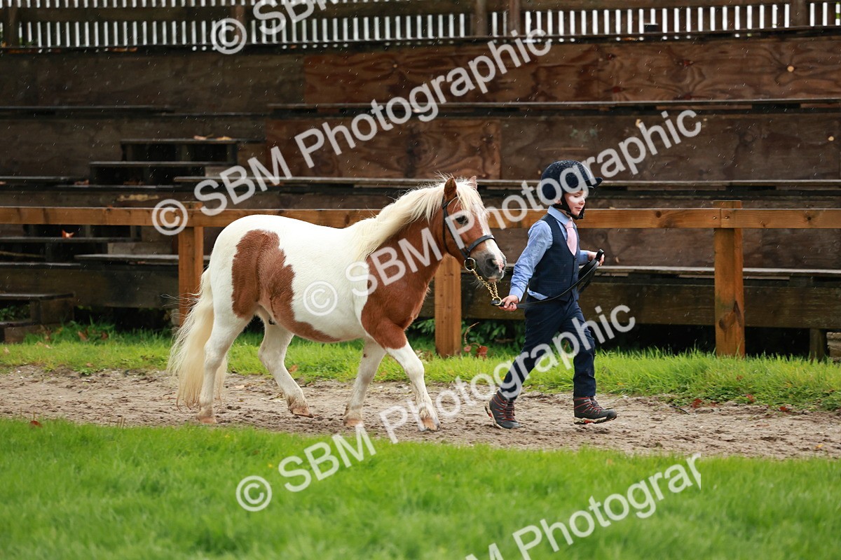 SBM_34868 - S10 - Best In Hand Horse & Pony