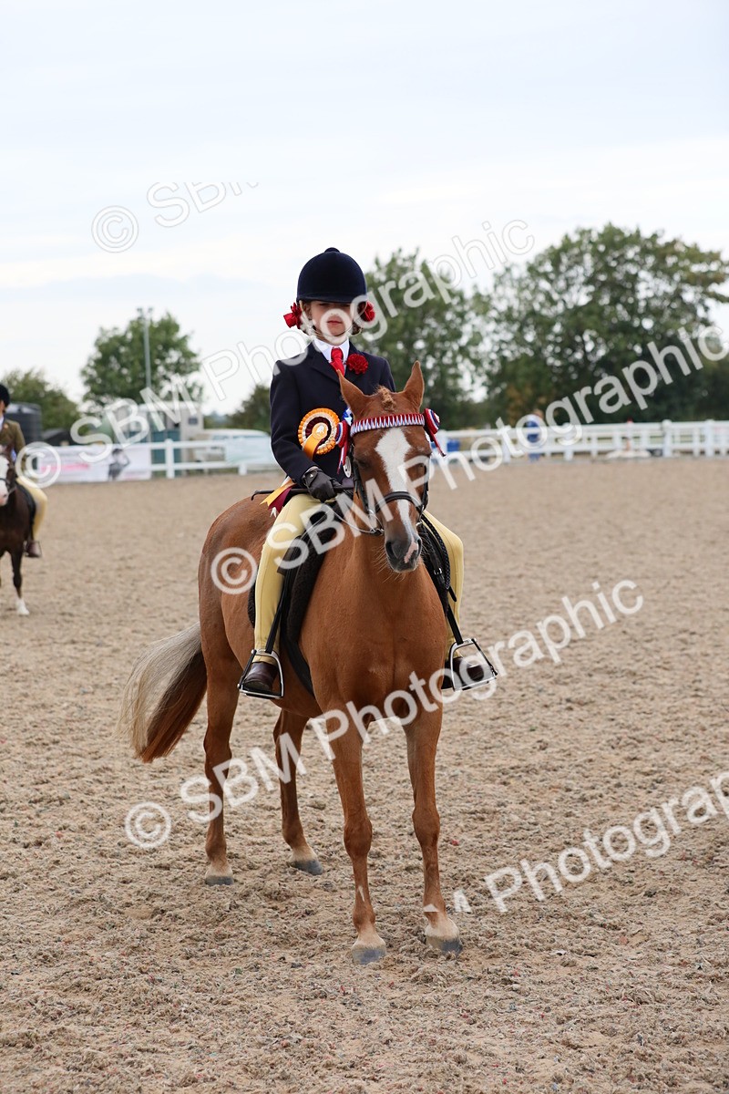 SBM_18234 - Class 316 Best Pony/Rider Combination