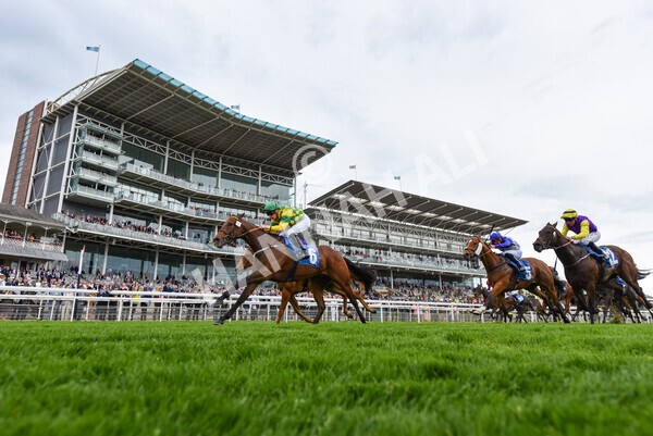 yr22052022r3-44 - Race 3: 4:35pm Sky Bet Sunday Series Dash