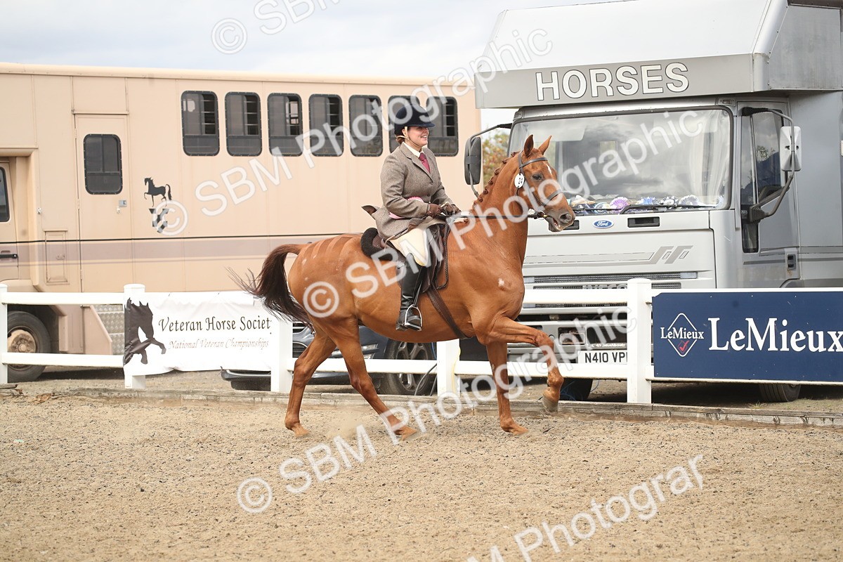 SBM_16587 - Class 506b - Working Veteran - 50cm (20+)