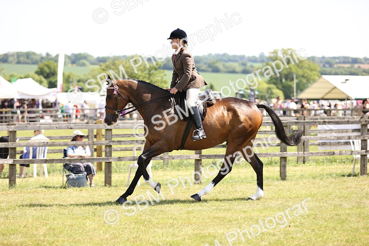 SBM_14907 - Class 78 - LIHS BSHA Open Racehorse & Show Horse