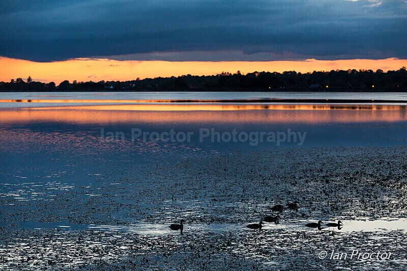 Late night swim at Stoneyford  Reservoir - County Antrim