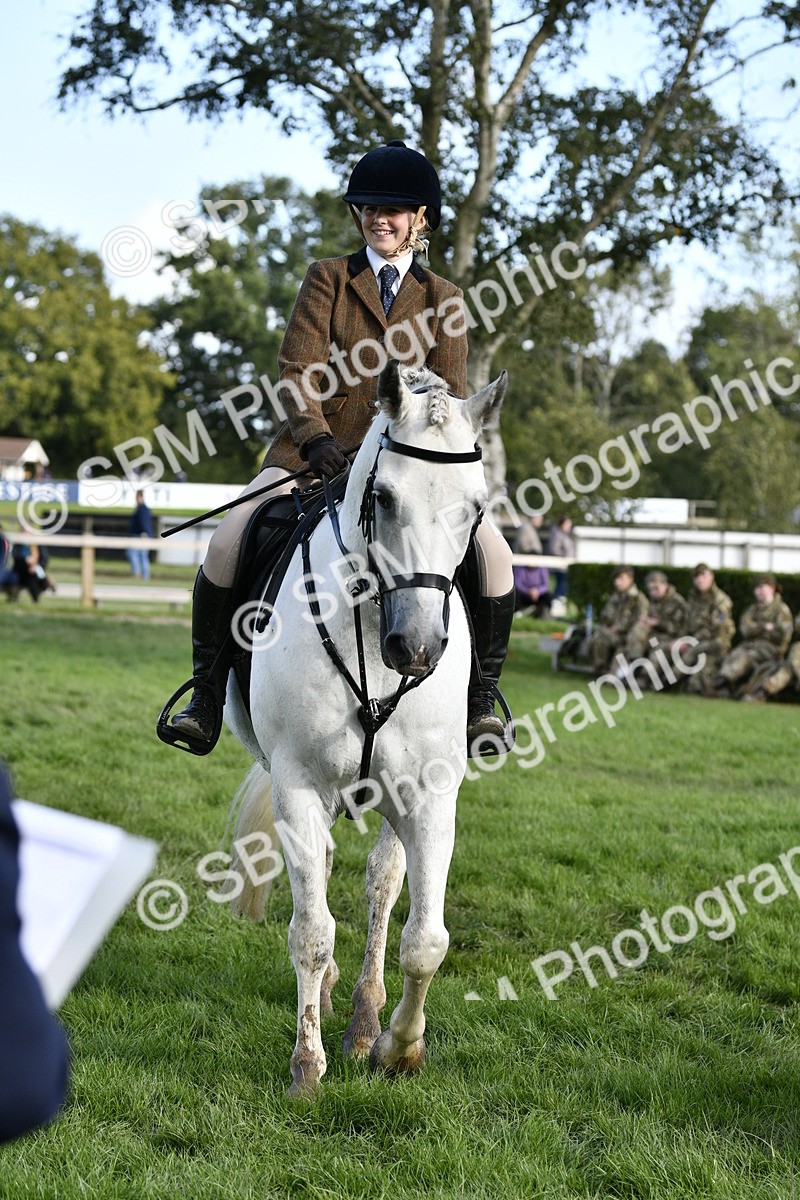 SBM_52175 - S35 - Working Hunter & Working Show Horse