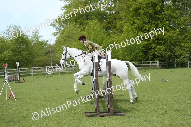20260426-2074 - Class 15 - Absolute Novice 70cm