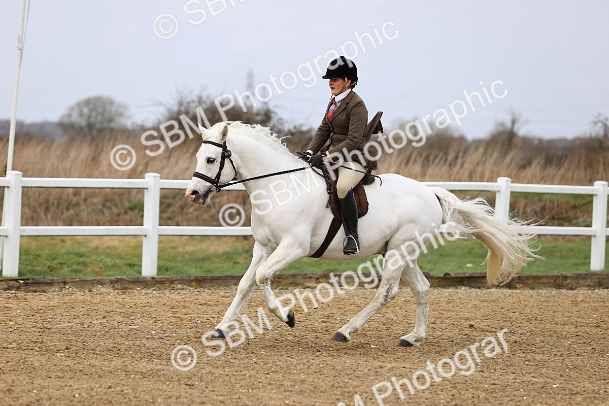 SBM_006935 - Class 29 - 30 - M&M Pure Novice Small-Large Breeds