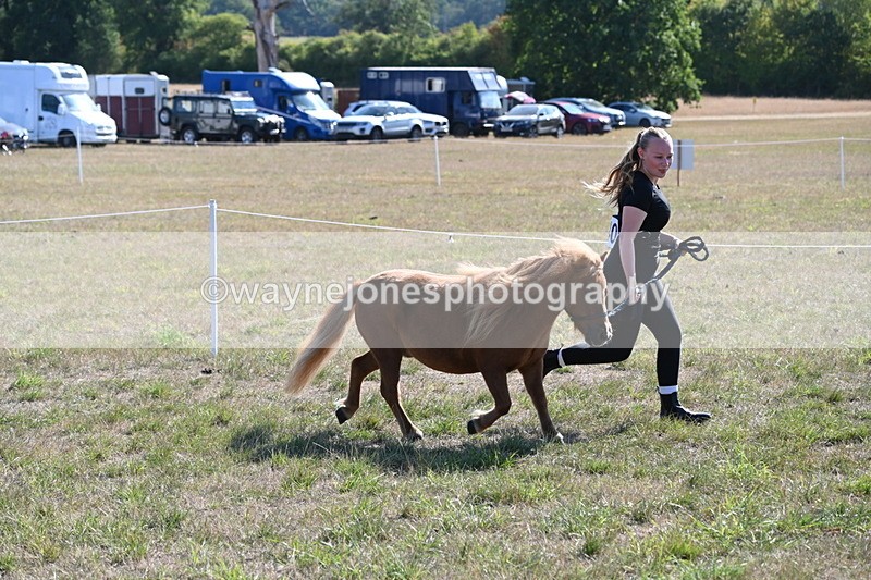 WJ6_7281 - Class 33 Rescue Pony