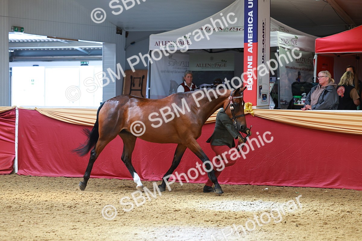 SBM_04098 - Class 9R - IH Pre-Vet