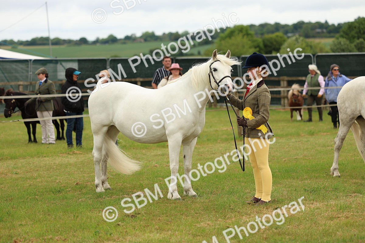 SBM_04244 - Class 64-67 - Shetland Pony In Hand