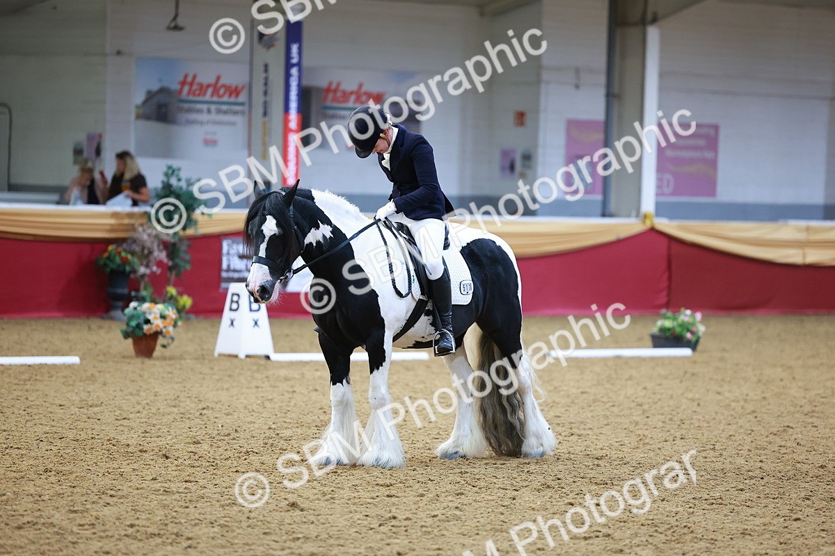SBM_06497 - Class 61 - Dressage to Music