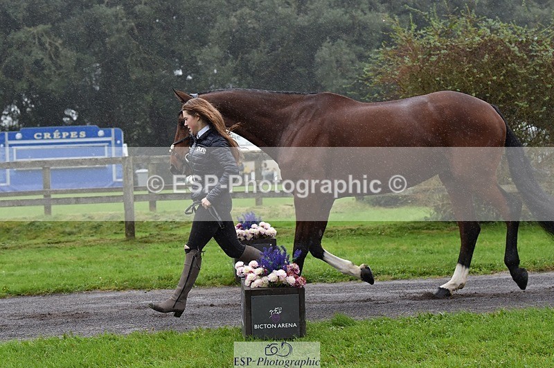 231018-120152-00042 - 040-DODINGTON-Sophie.Wildern-TrotUp