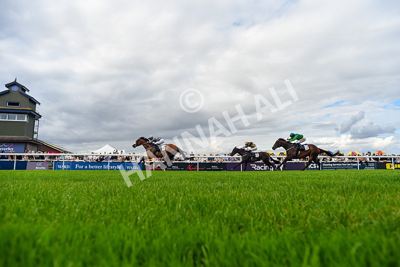 300826-Race 5-Harb-6950 - Race 5 3.55pm Constant Security Handicap