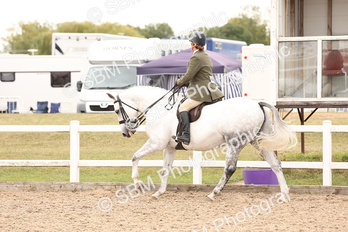 SBM_16496 - Class 212 - Ridden Hunter - Small