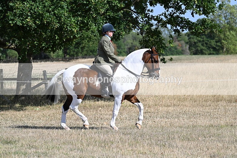 WJ7_2793 - Class 8 Ridden Tack & Turnout