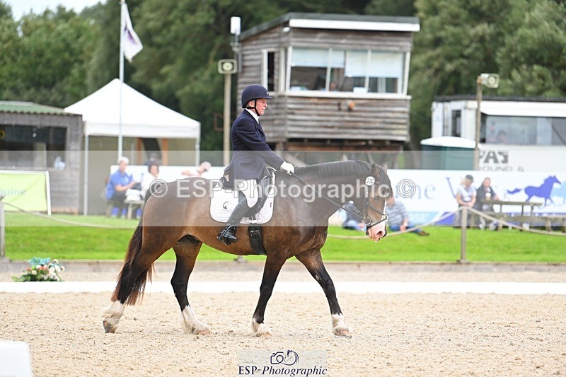 230813-140650-07681 - Cls 13 Medium Bronze 13.15 to End