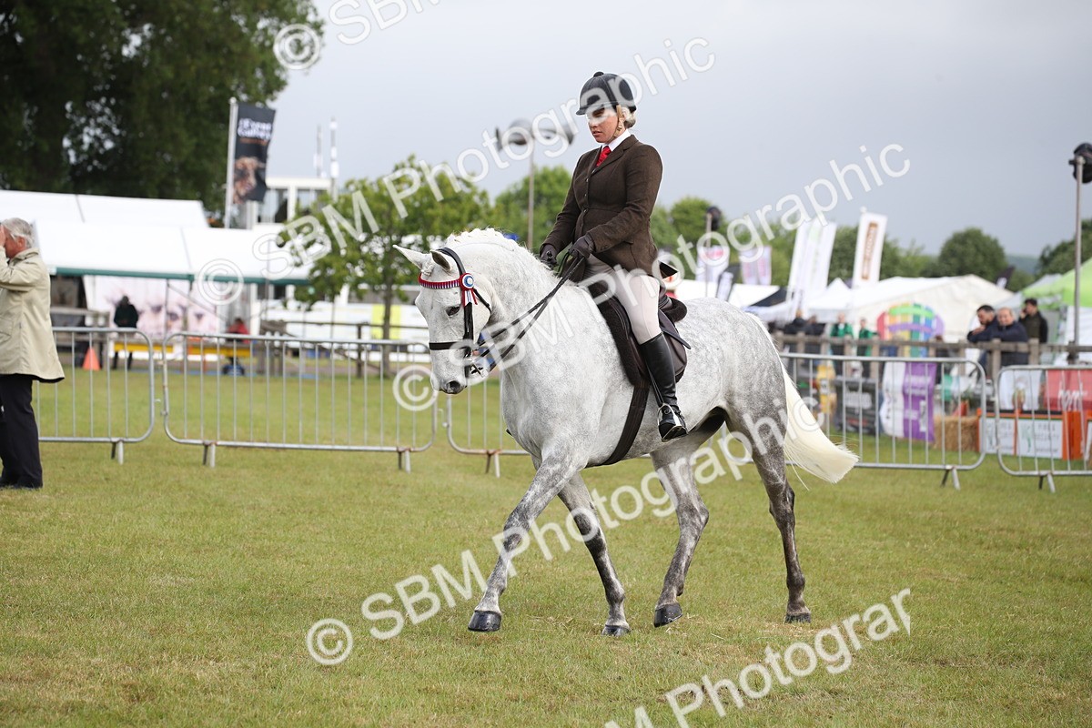 SBM_11515 - Class 95-96 - LIHS BSHA Rising Star Hack Riding Horse