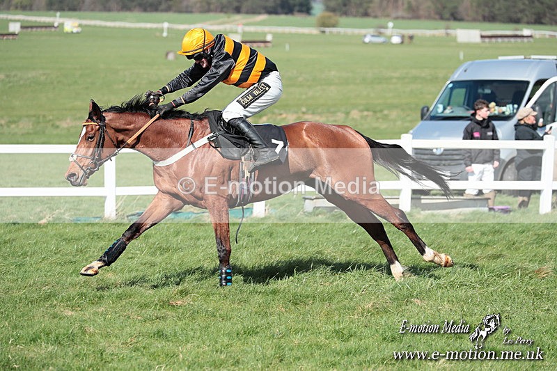 PtP 230324 565 - Tedworth Hunt PtP Larkhill Raccourse 23rd March 2024
