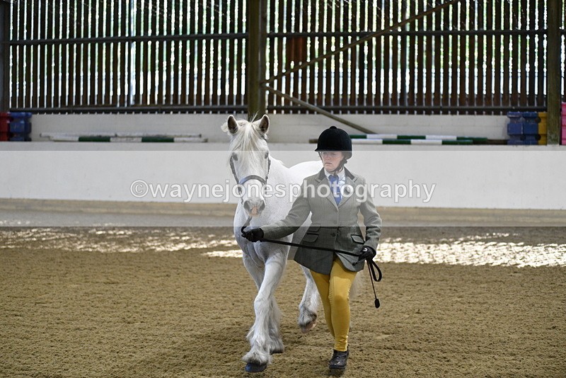 WJ5_3553 - Class 5 In Hand Veterans