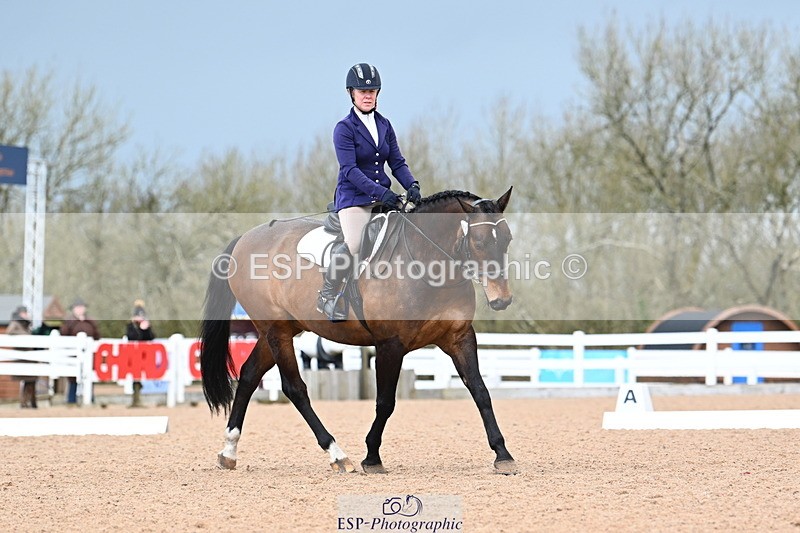 240323A-124126-02873 - DR Novice 34