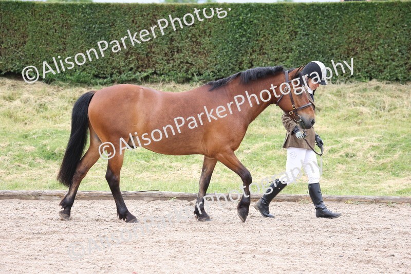 20250524-0002 - Class 1 - Best Condition