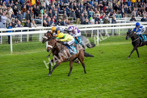 111024-Race 4-End Of Story-6918 - Race 4 3.10pm Parsonage Hotel And Cloisters Spa Nursery Handicap