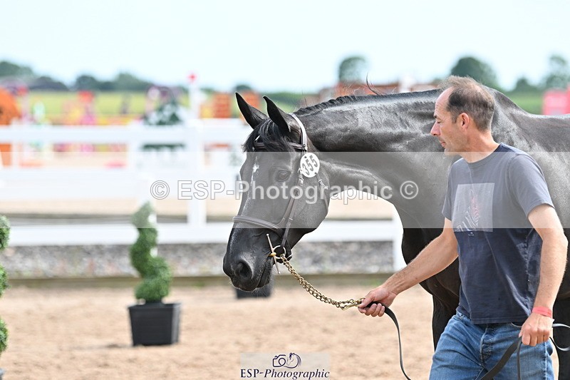 240717A-163645-03445 - Trot Up 4pm to 5pm