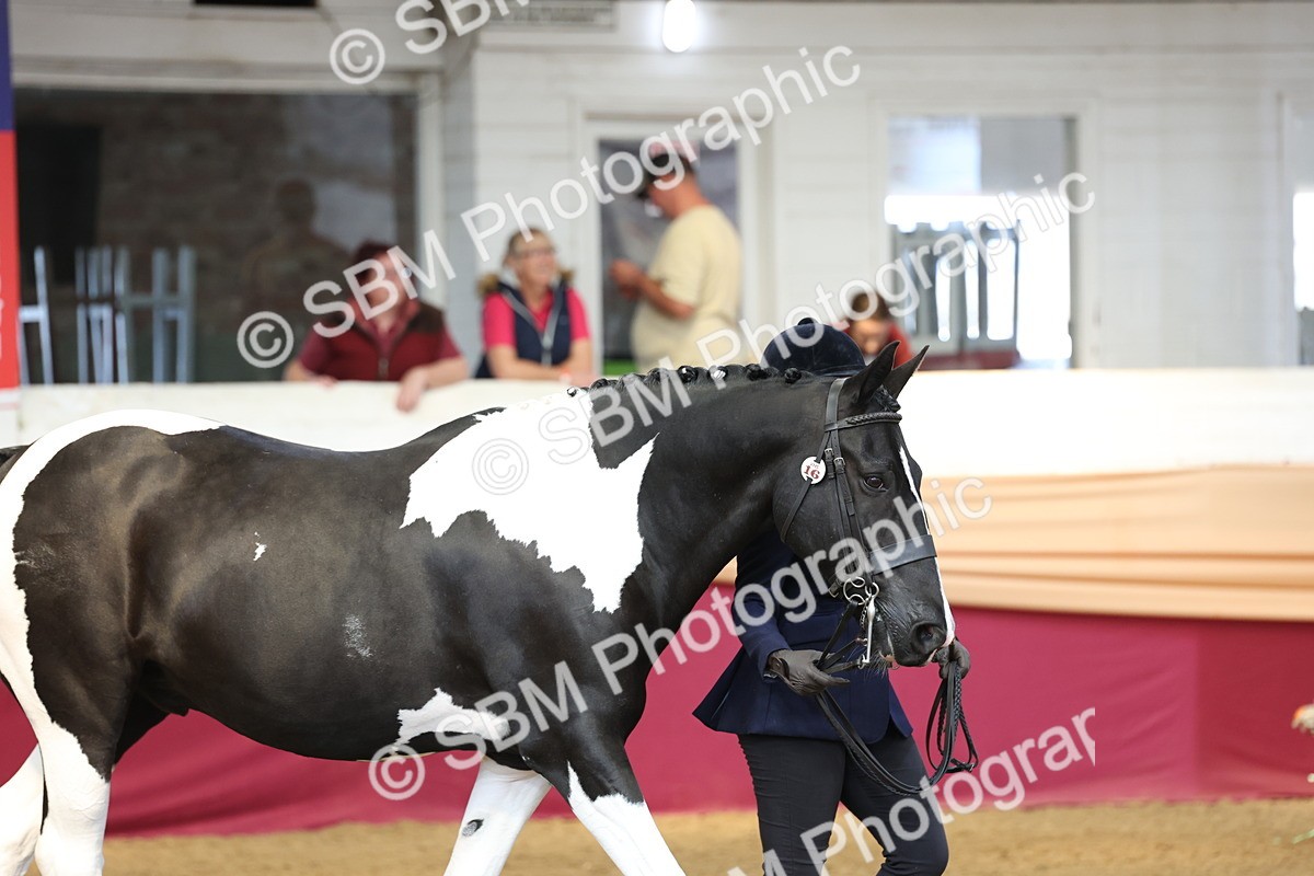 SBM_23393 - Class 903 - Supreme Final - IH Pre Vet