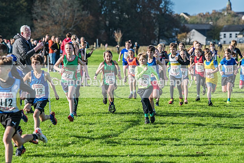 Cumbria XC-72 - Cumbria XC League Workington Saturday 26th October 2024