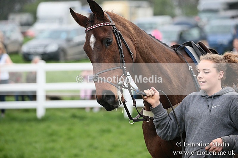 PtP 210418 145 - South & West Wilts Point-to-Point Larkhill 21/04/18