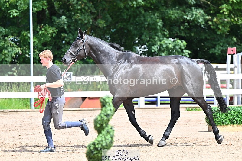 240718A-105246-01144 - Trot Up 12pm to 1pm
