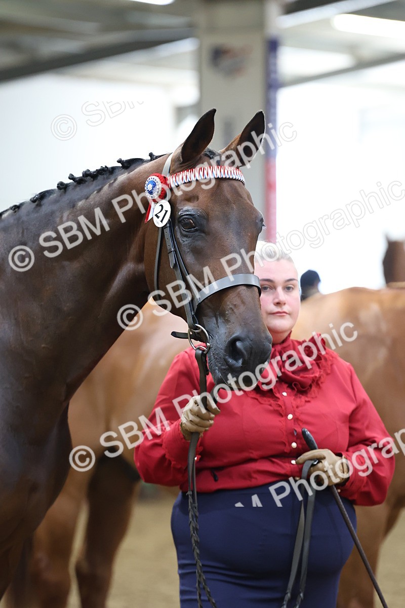 SBM_22503 - Class 902 - Supreme Final - IH Diamond